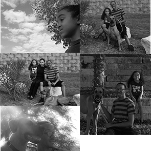 second Feature Image